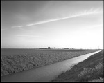 The Fens