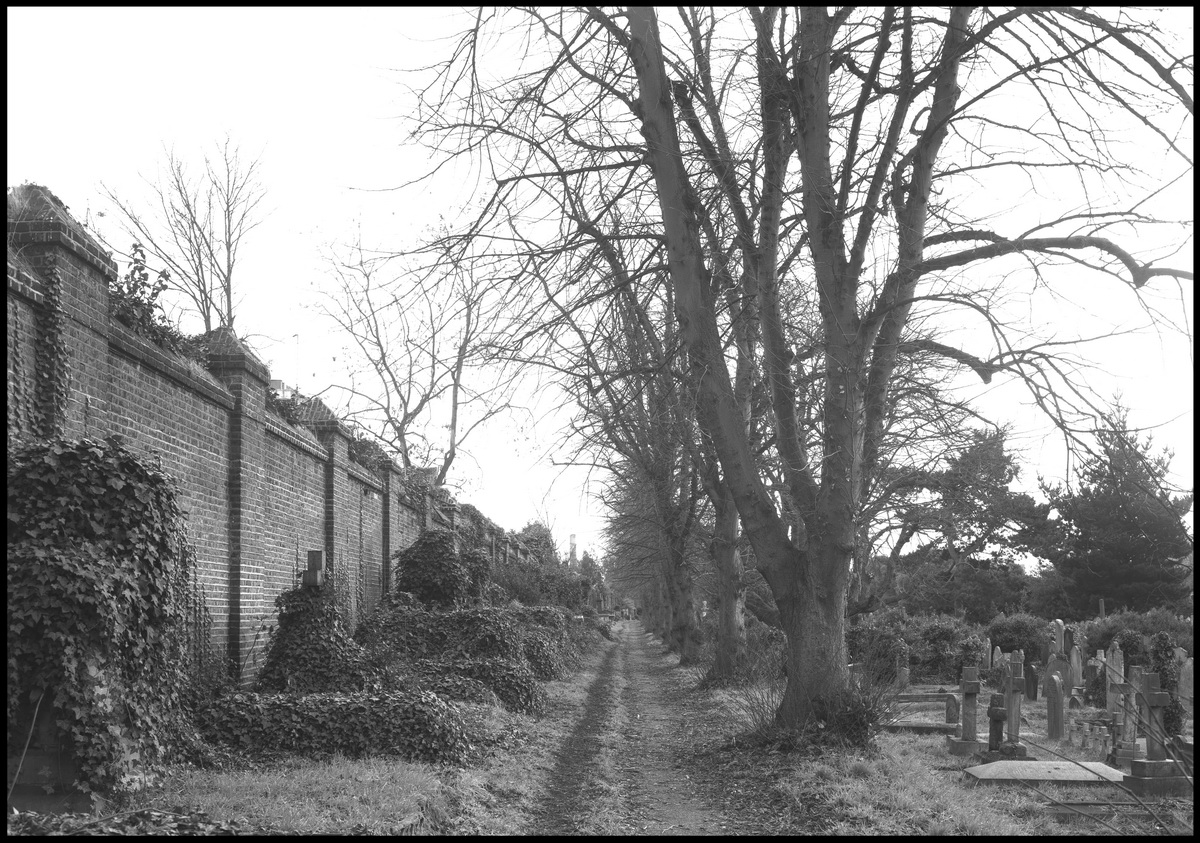 [Brompton Cemetery]