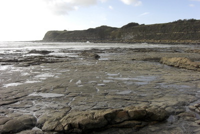 [Kimmeridge]