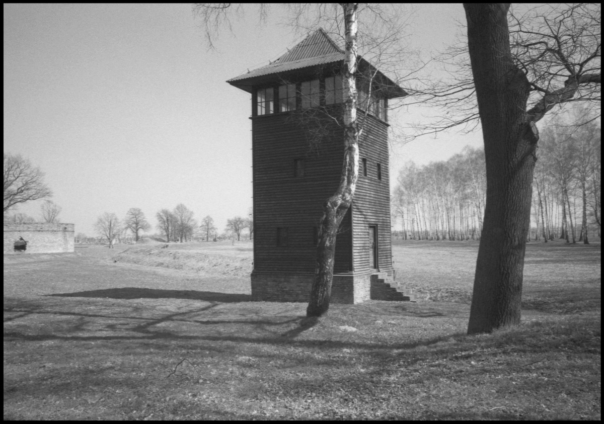 [Auschwitz]
