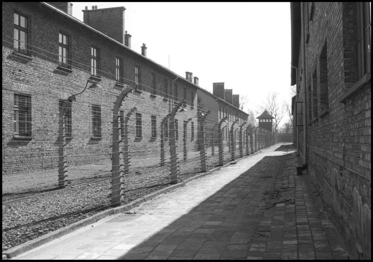 [Auschwitz]