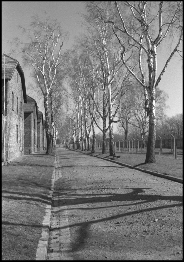 [Auschwitz]