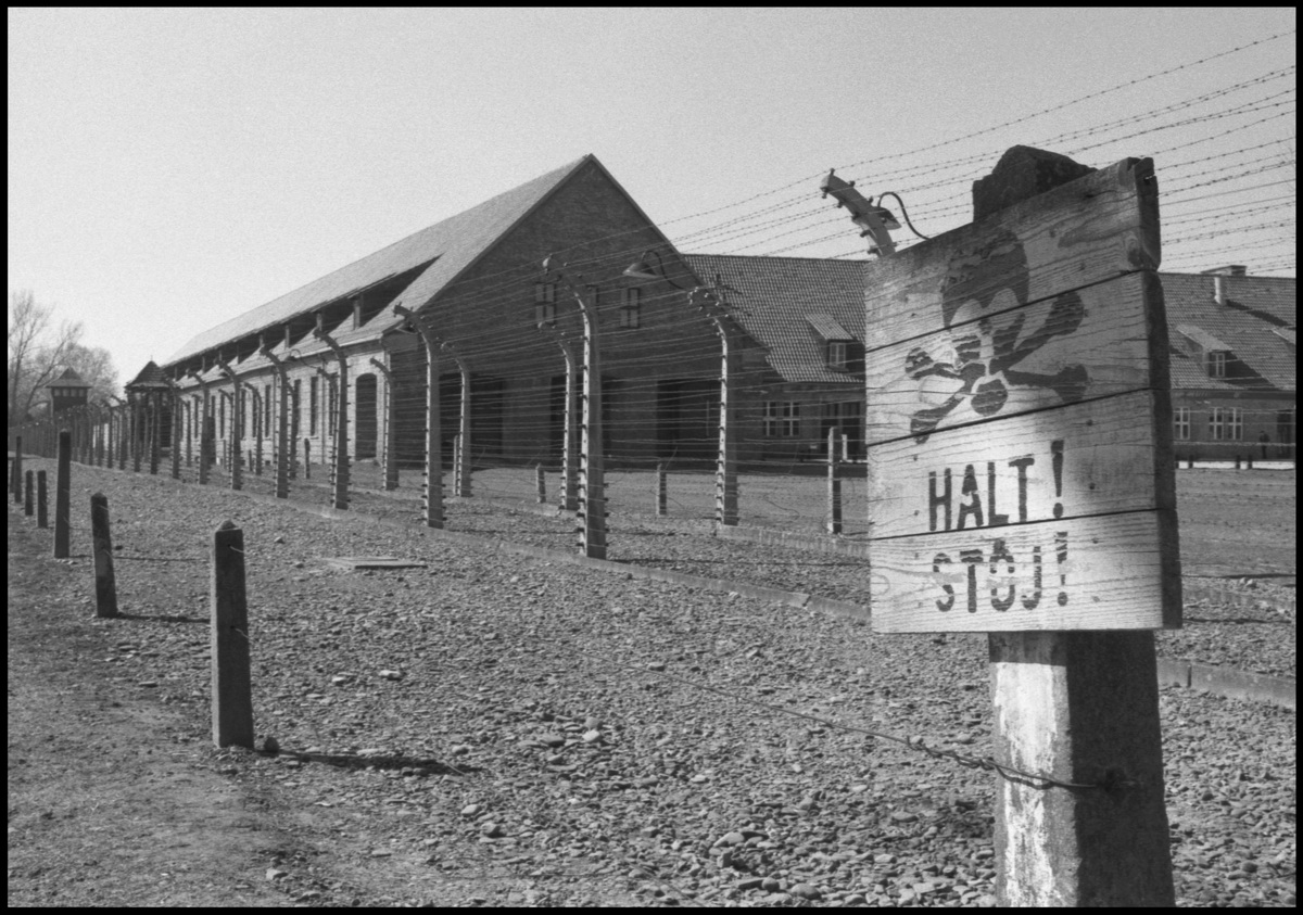 [Auschwitz]