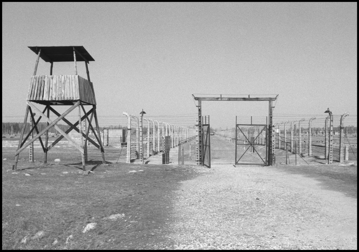 [Auschwitz]