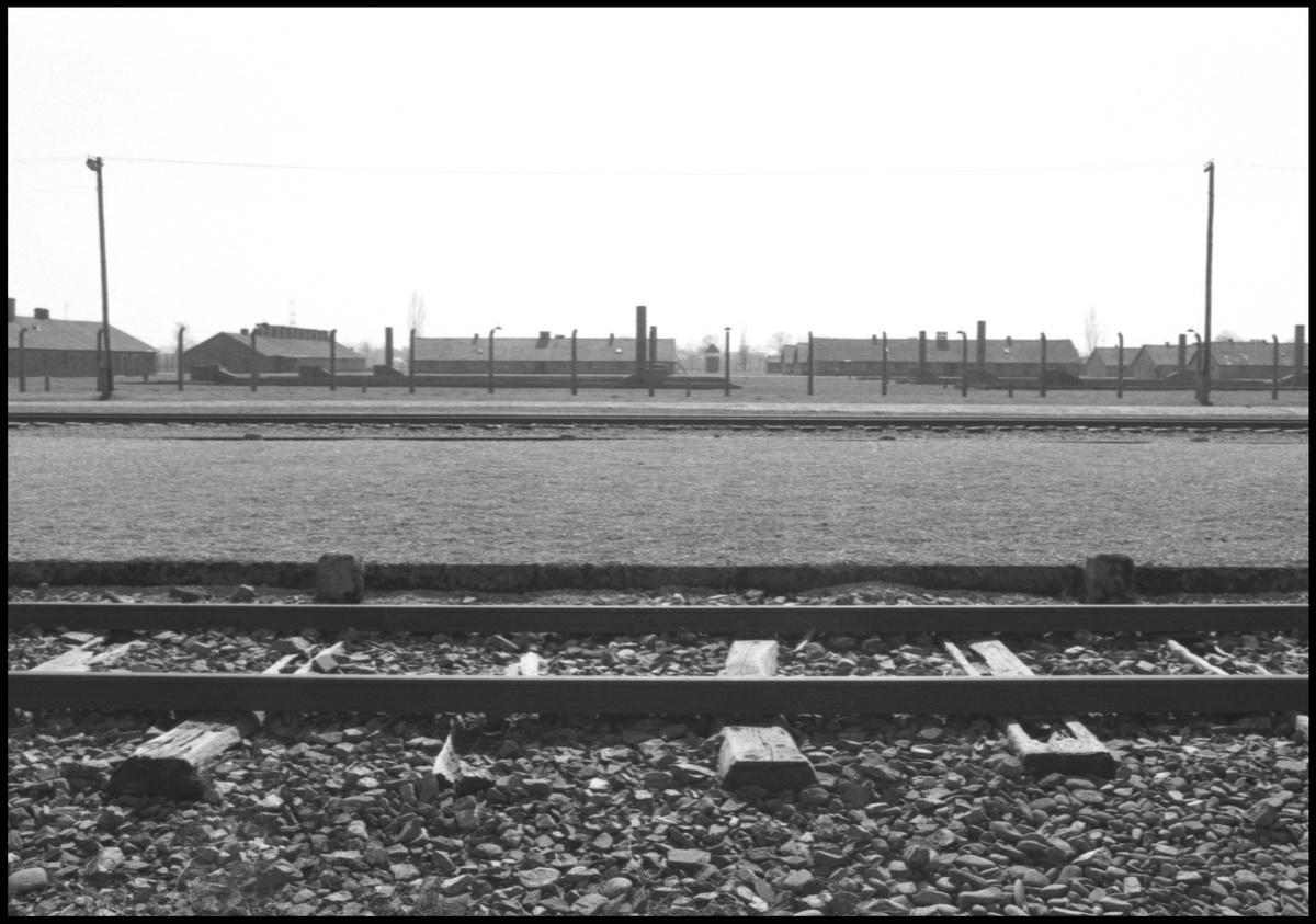 [Auschwitz]