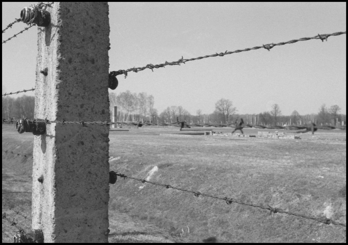 [Auschwitz]