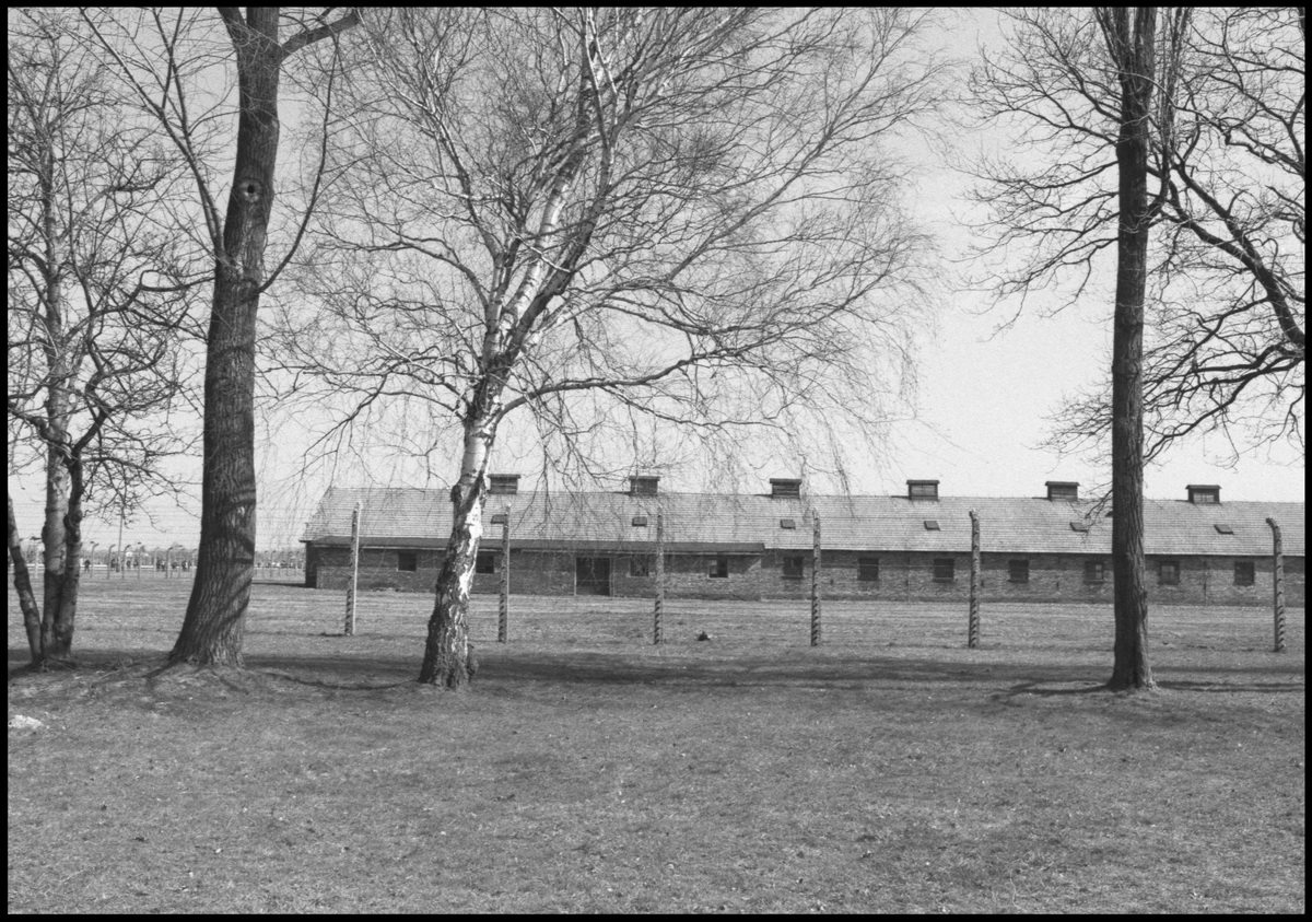[Auschwitz]