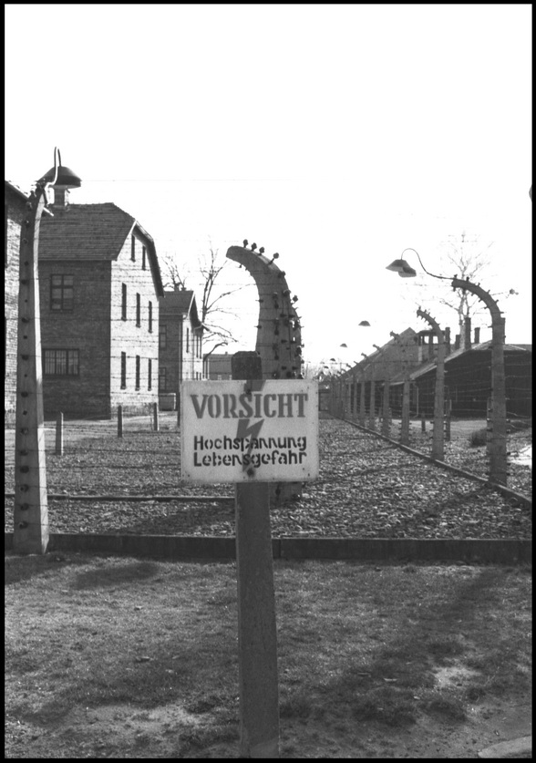 [Auschwitz]
