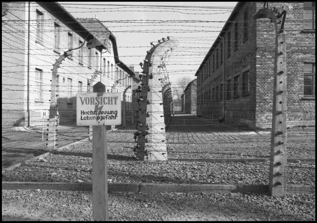 [Auschwitz]