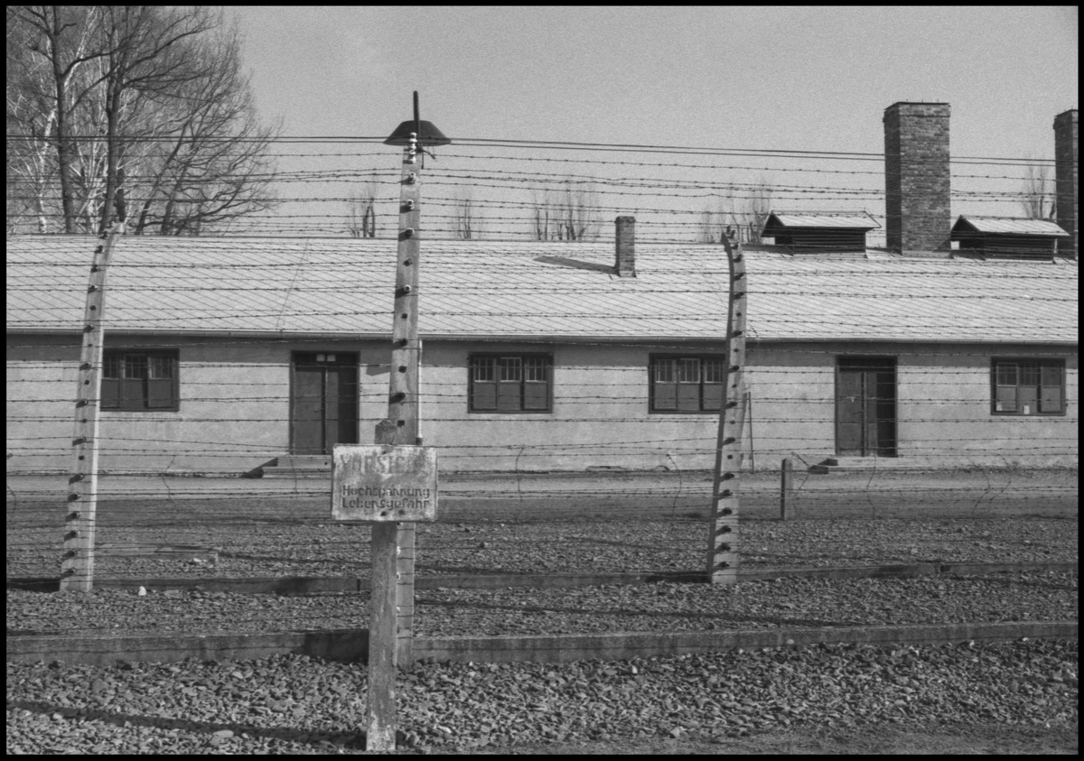 [Auschwitz]