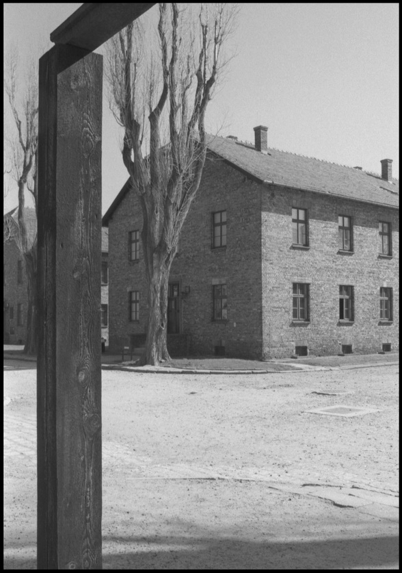 [Auschwitz]