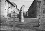 Auschwitz